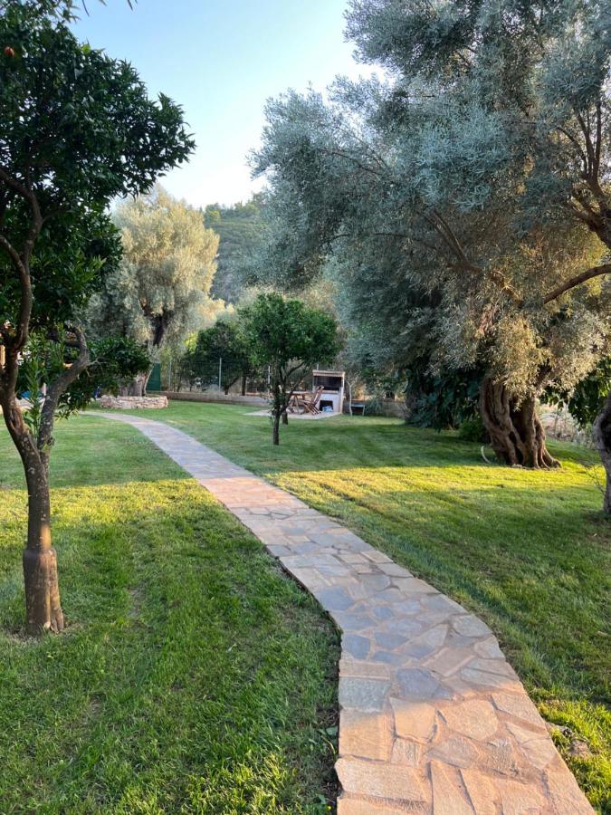 Elleria'S House Διαμέρισμα Φρύνι Εξωτερικό φωτογραφία