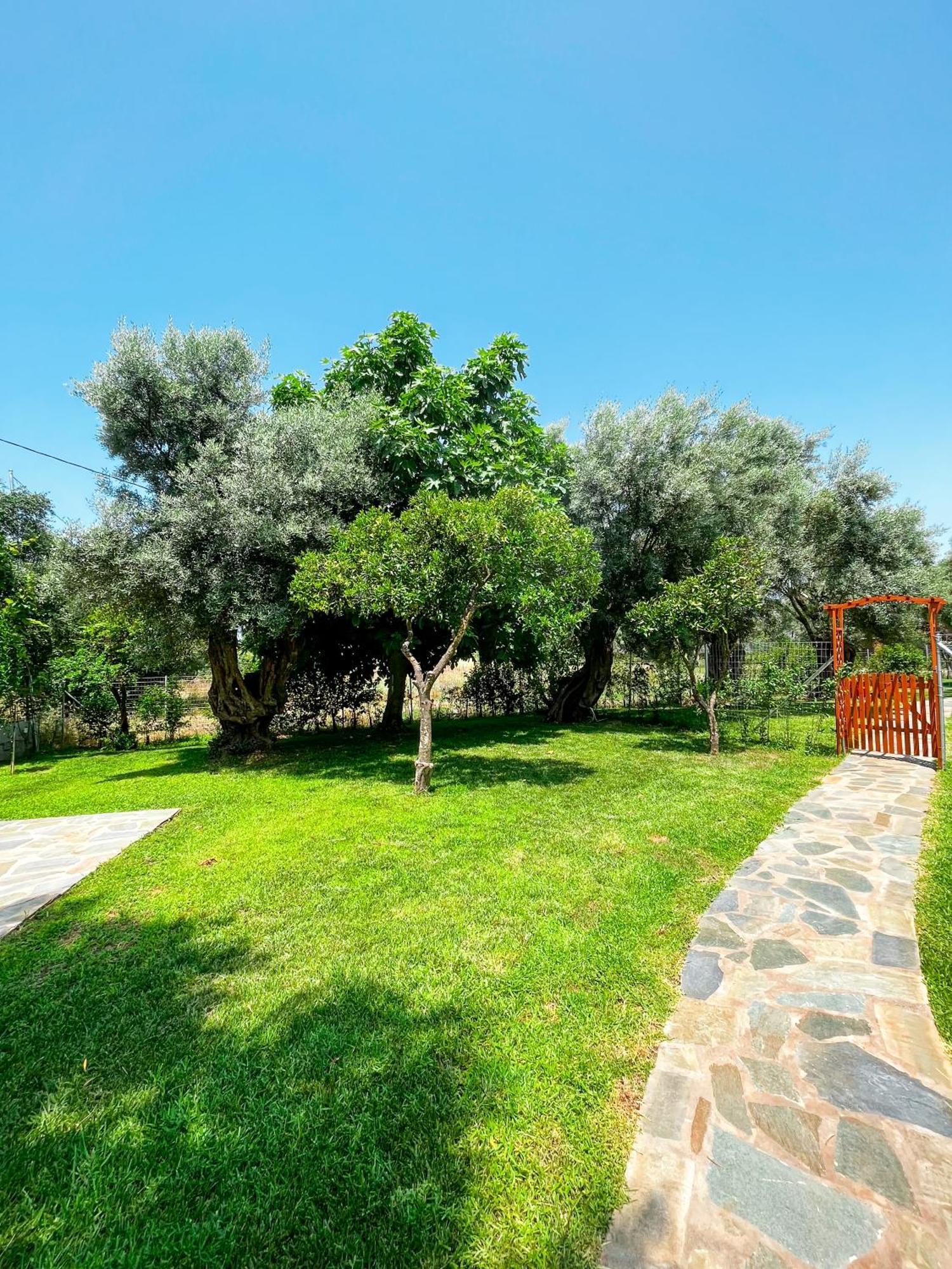 Elleria'S House Διαμέρισμα Φρύνι Εξωτερικό φωτογραφία